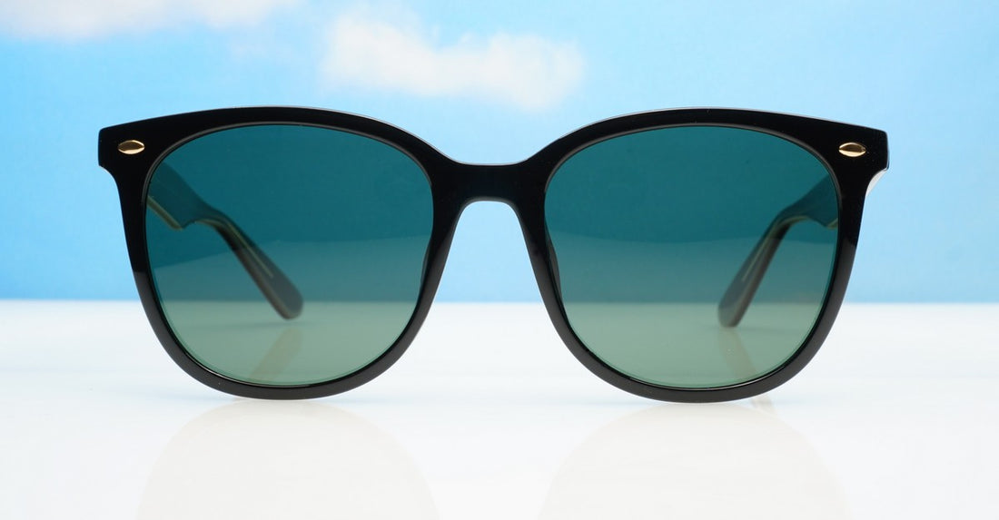 Starlight Brown Sunpro Sunglasses NZ